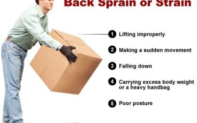 Lift-Free Human Transfers: A Modern Approach to Back-Safe Caregiving